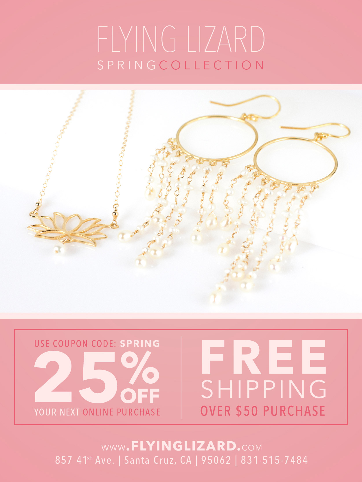 Emailer Design for Flying Lizard Jewelry